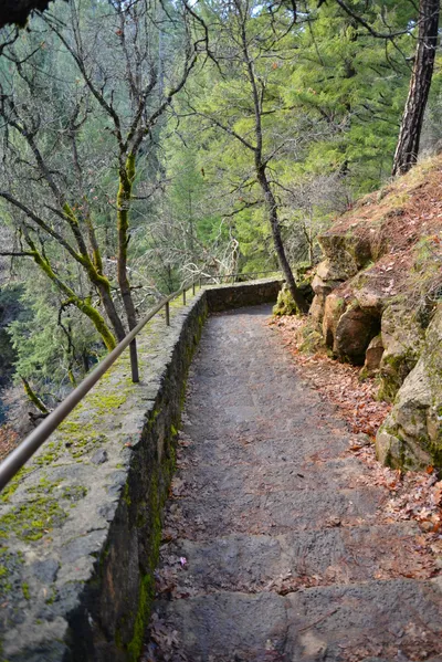 DSC_5920 (Large).JPG